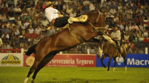 Festival de doma y folklore Jesús María
