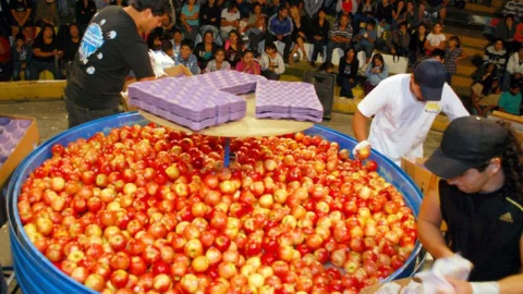 Fiesta Nacional de la Manzana